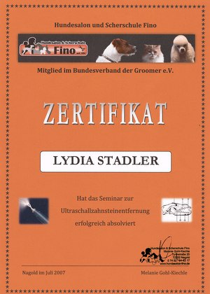 Zertifikat Zahnsteinentfernung